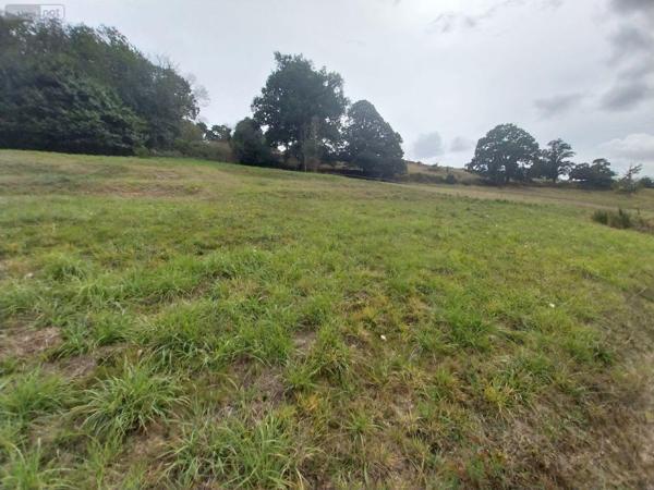 Terrain à Batir à vendre à Montreuil-sous-Pérouse en Ille-et-Vilaine (35500), ref : 35131-90