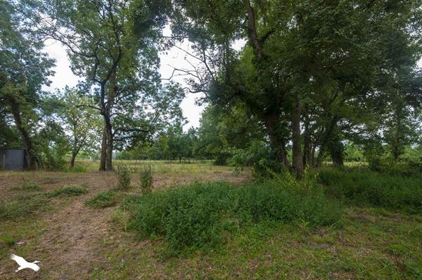 Maison à vendre |  Petit-Bersac |  6 pièces | 161 m²