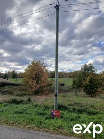 Superbe terrain de 5337 m², 1909 m² constructible, au calme.