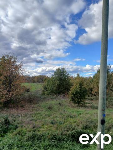 Superbe terrain de 5337 m², 1909 m² constructible, au calme.