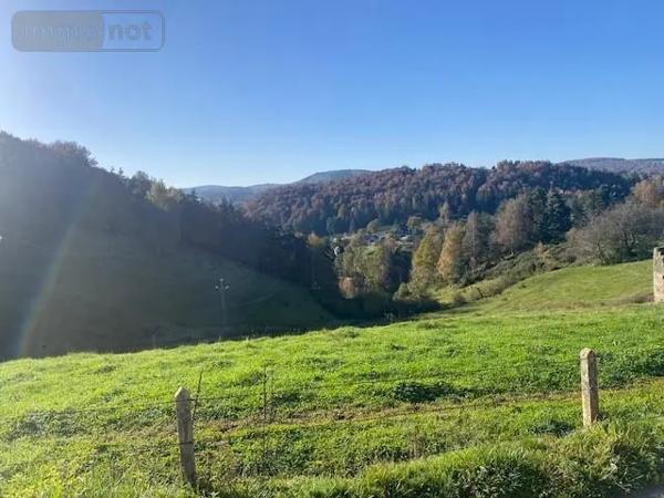 Achat - Maison Arzenc-d'Apcher 48310 196 m 2 1480 m 2