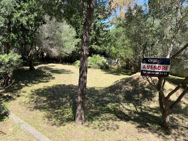 Terrain - 713 m²