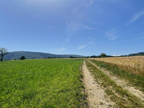 EN EXCLUSIVITE  Maison Mitoyenne 110 m² avec terrain clos de 621 m²  - En Albens et la Biolle - Rue du Revard  - 5 pièce(s)