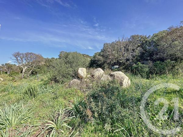 Terrain à vendre  697 m2 PORTO VECCHIO - 201