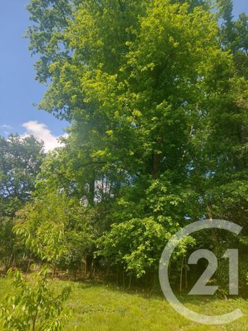 Maison à vendre  10 pièces - 280 m2 BILLERE - 64