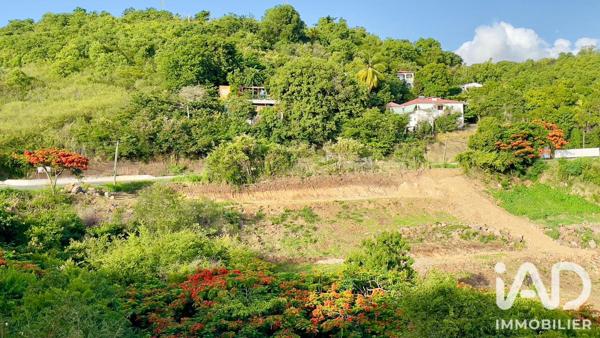 Terrain à vendre 702 m² Vieux-Habitants