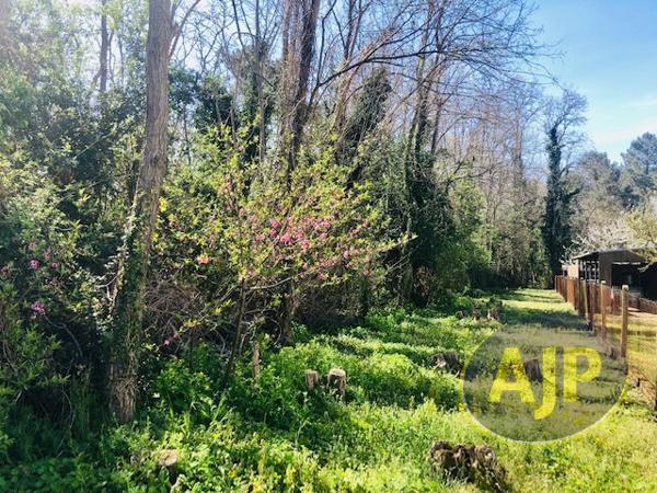 Vente terrain Saint Germain D Esainteuil : 95 800 € - AJP Lesparre Immobilier