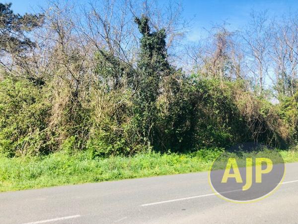 Vente terrain Saint Germain D Esainteuil : 95 800 € - AJP Lesparre Immobilier