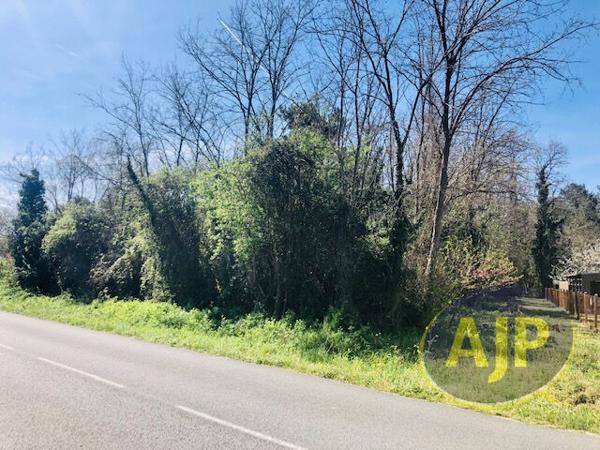 Vente terrain Saint Germain D Esainteuil : 95 800 € - AJP Lesparre Immobilier