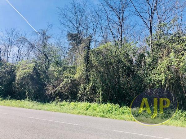 Vente terrain Saint Germain D Esainteuil : 95 800 € - AJP Lesparre Immobilier