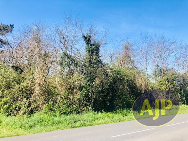 Vente terrain Saint Germain D Esainteuil : 95 800 € - AJP Lesparre Immobilier