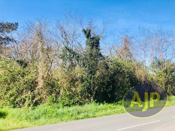 Vente terrain Saint Germain D Esainteuil : 95 800 € - AJP Lesparre Immobilier