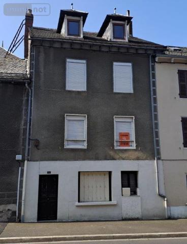 Immeuble à vendre à Saint-Georges dans le Cantal (15100), ref : 044/1095