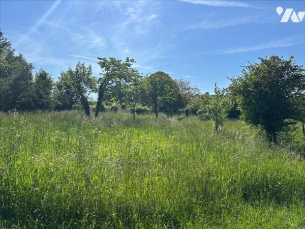 MONTAMISE - VALLEE D'ENSOULESSE