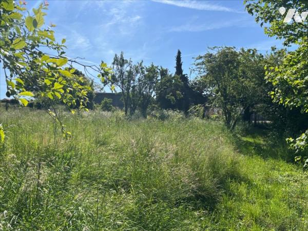 MONTAMISE - VALLEE D'ENSOULESSE