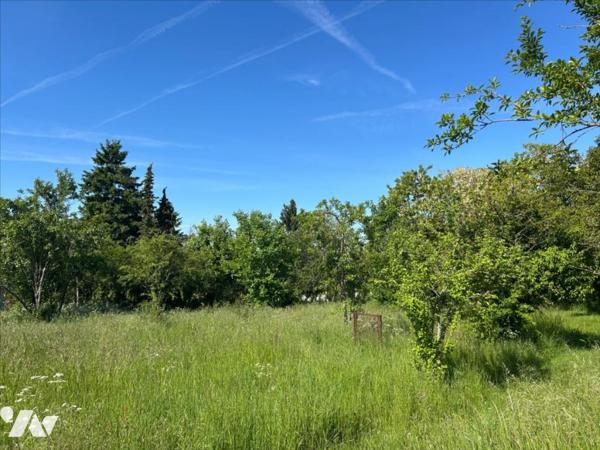 MONTAMISE - VALLEE D'ENSOULESSE