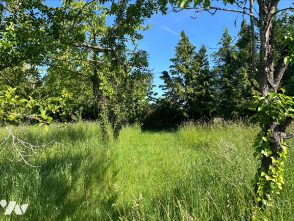 MONTAMISE - VALLEE D'ENSOULESSE