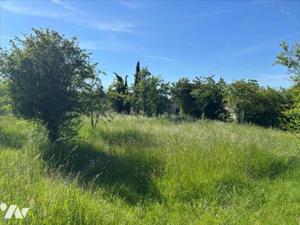 MONTAMISE - VALLEE D'ENSOULESSE