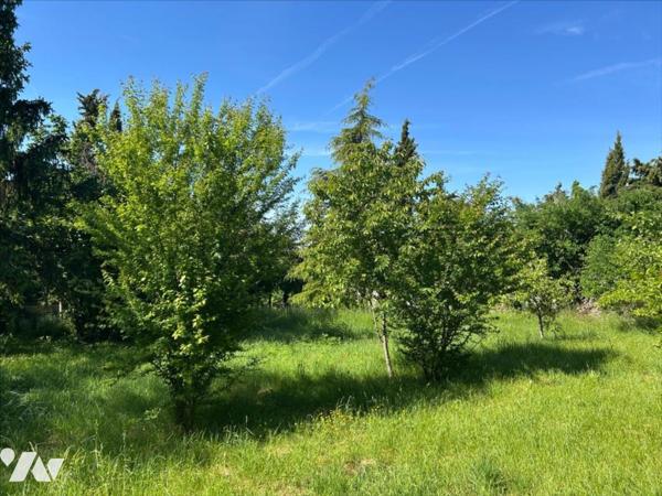 MONTAMISE - VALLEE D'ENSOULESSE