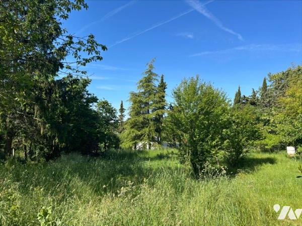 MONTAMISE - VALLEE D'ENSOULESSE