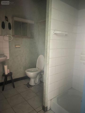 Maison à vendre à Vimartin sur Orthe en Mayenne (53160), ref : 12703/3746