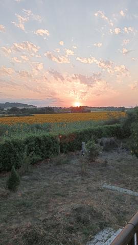 Grande maison avec terrasse 4 chambres  Belvèze-du-Razès (11240)
