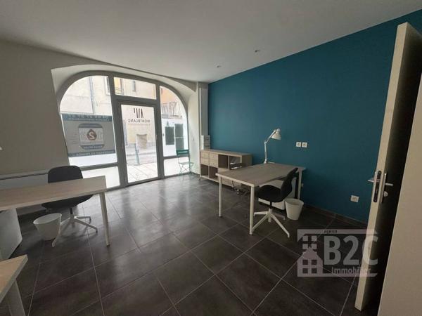 LOCAL PROFESSIONNEL/COMMERCE GRENOBLE