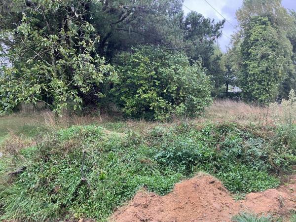 Terrain à Batir à vendre à Plescop dans le Morbihan (56890), ref : 56023-1214