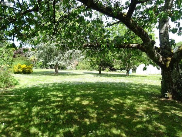 Achat - Maison | Maison restaurée Valdivienne 86300 6 pièces 140 m 2 2551 m 2