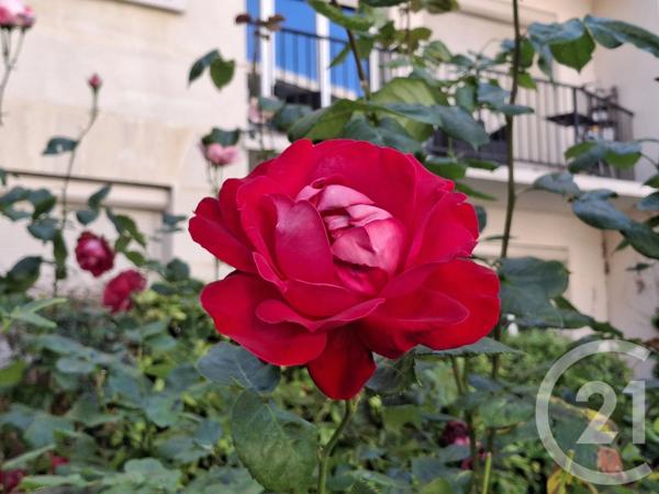 Appartement F4 à vendre  4 pièces - 71,32 m 2   ALFORTVILLE  - 94