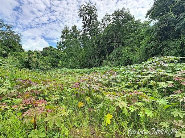 Terrain à vendre avec possibilité de construction résidentielle ou touristique