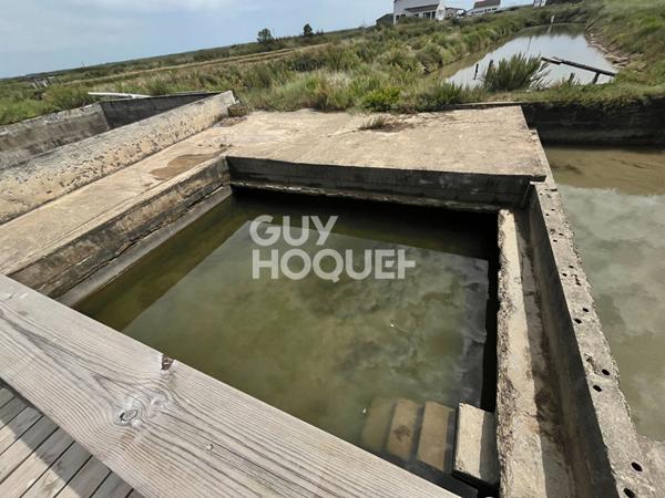 Cabane ostréicole Arvert 74 m2