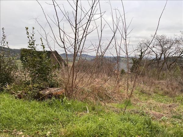 Terrain à vendre |  Puy-d'Arnac |  18100 m²