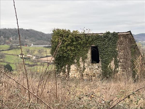 Terrain à vendre |  Puy-d'Arnac |  18100 m²