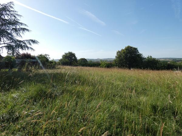 Terrain constructible de 2923m²