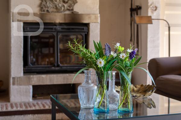 Propriété en pierre de caractère avec gîte et piscine