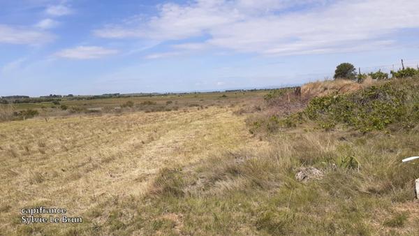 A vendre MARSEILLAN ville terrain agricole plat, vacances, soleil, mer