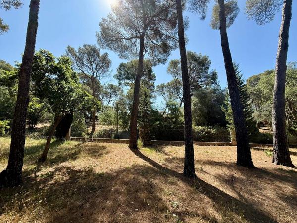 Magnifique terrain à bâtir Boulouris