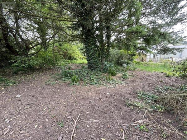 Terrain à Batir à vendre à Paimpol dans les Côtes-d'Armor (22500), ref : 22023-3395