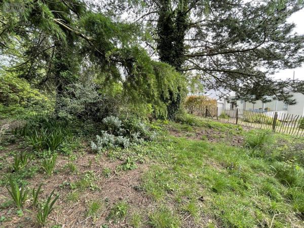 Terrain à Batir à vendre à Paimpol dans les Côtes-d'Armor (22500), ref : 22023-3395