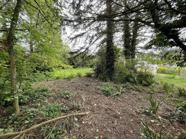 Terrain à Batir à vendre à Paimpol dans les Côtes-d'Armor (22500), ref : 22023-3395