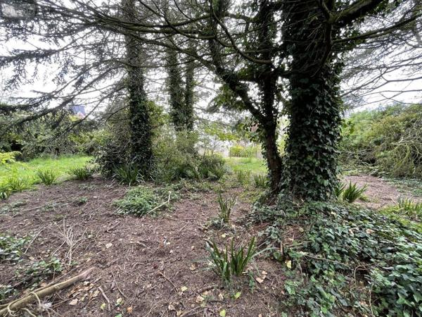 Terrain à Batir à vendre à Paimpol dans les Côtes-d'Armor (22500), ref : 22023-3395