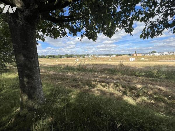 TERRAIN A BATIR A VENDRE