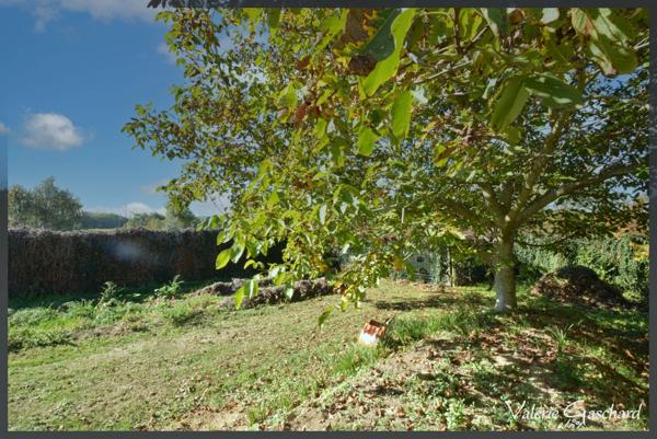Maison familiale de plain-pied à Saint-Vivien (Gironde) – 5 chambres, garage, grand terrain clos