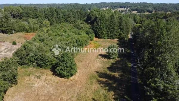 Vente Terrain 2921 m2 à Neuvic