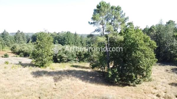 Vente Terrain 2921 m2 à Neuvic