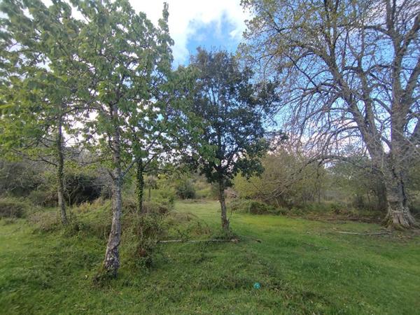 Terrain de 3000 m² - Quenza (Alta Rocca, Corse-du-Sud)