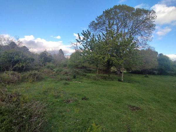 Terrain de 3000 m² - Quenza (Alta Rocca, Corse-du-Sud)