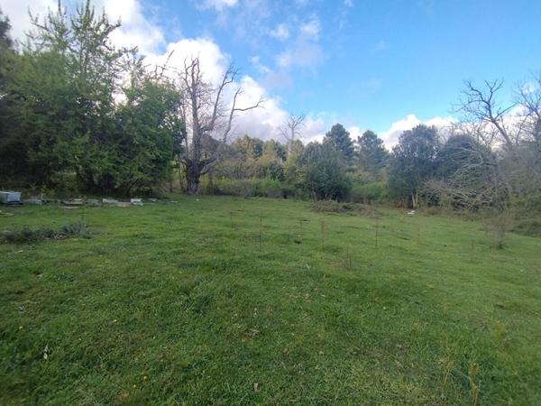 Terrain de 3000 m² - Quenza (Alta Rocca, Corse-du-Sud)