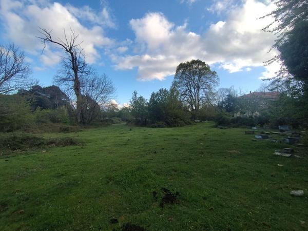 Terrain de 3000 m² - Quenza (Alta Rocca, Corse-du-Sud)